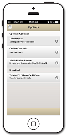 Opciones_Mock-up-copia